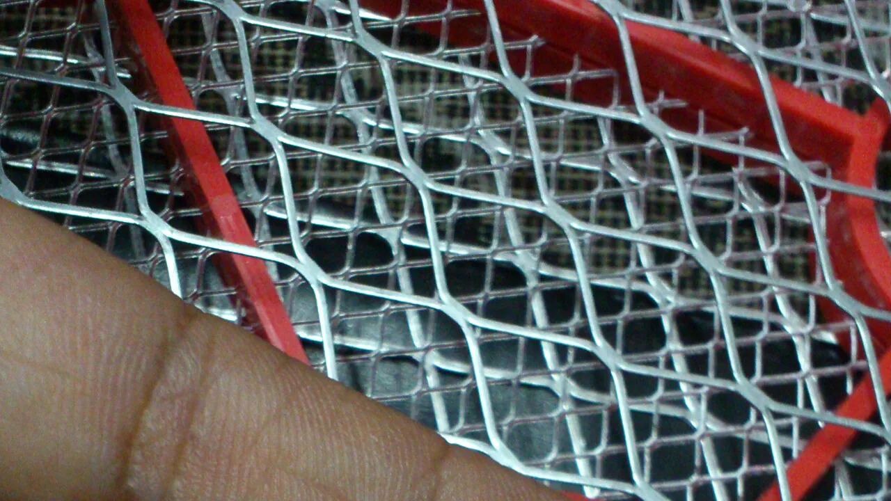 Dead Aedes Aegypti Mosquito 