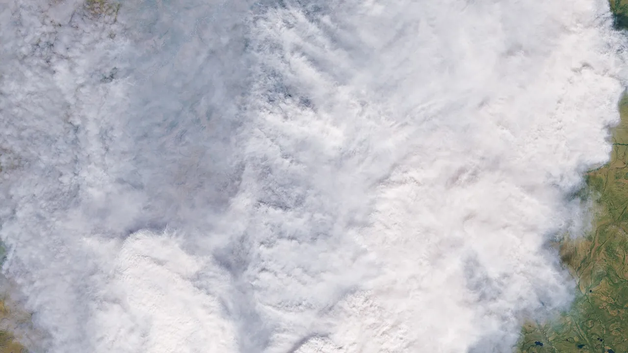 Fires Char the Siberian Arctic (153087 - oli 20240710 lrg)